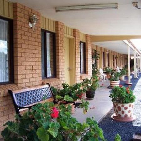 Three Ways Motel Gilgandra Buitenkant foto